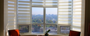 Baywindow blinds